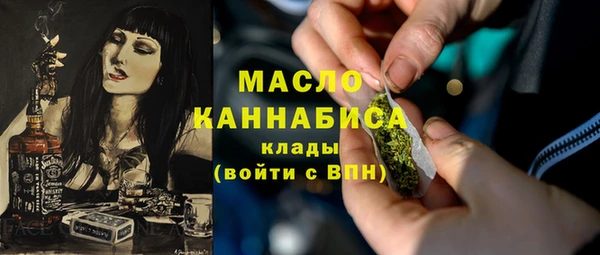 индика Киреевск