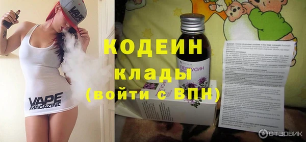 индика Киреевск