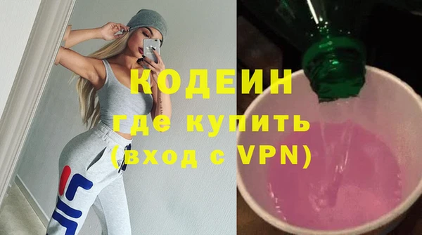 индика Киреевск