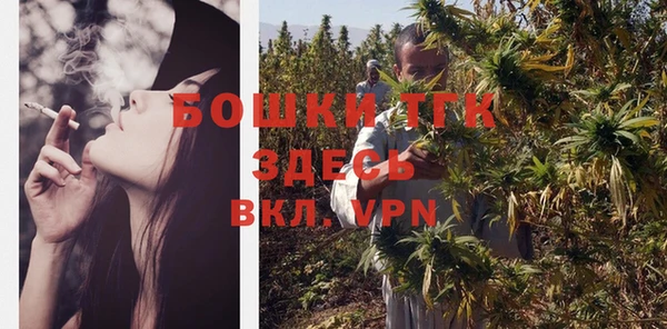 прущие грибы Киренск