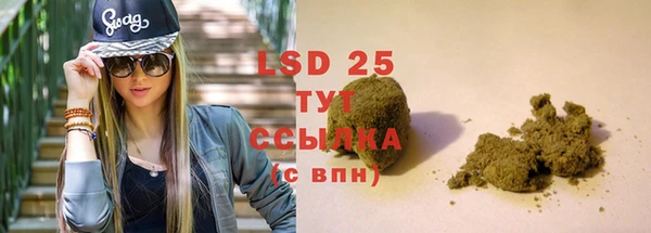 прущие грибы Киренск