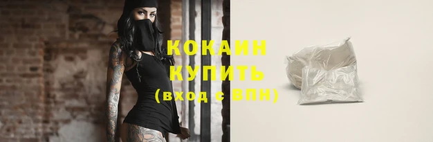 стаф Кодинск