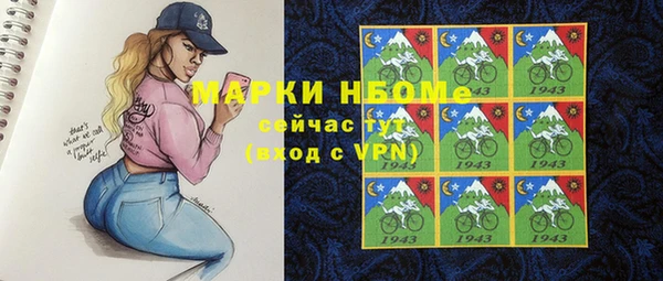 стаф Кодинск