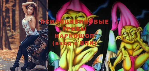 МДМА Козловка