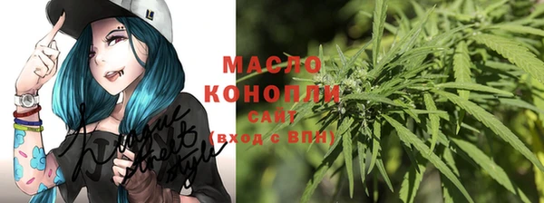 стаф Кодинск