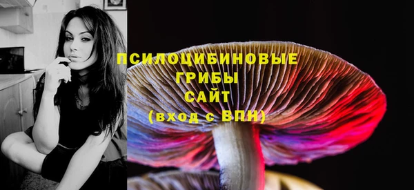 индика Киреевск